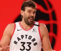 孟菲斯灰熊和影照片