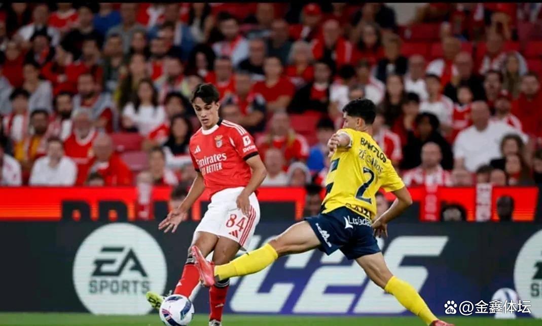 包含清晨AC米兰备战葡超,状态回暖细节曝光,媒体盛赞,高层口径保持一致的词条